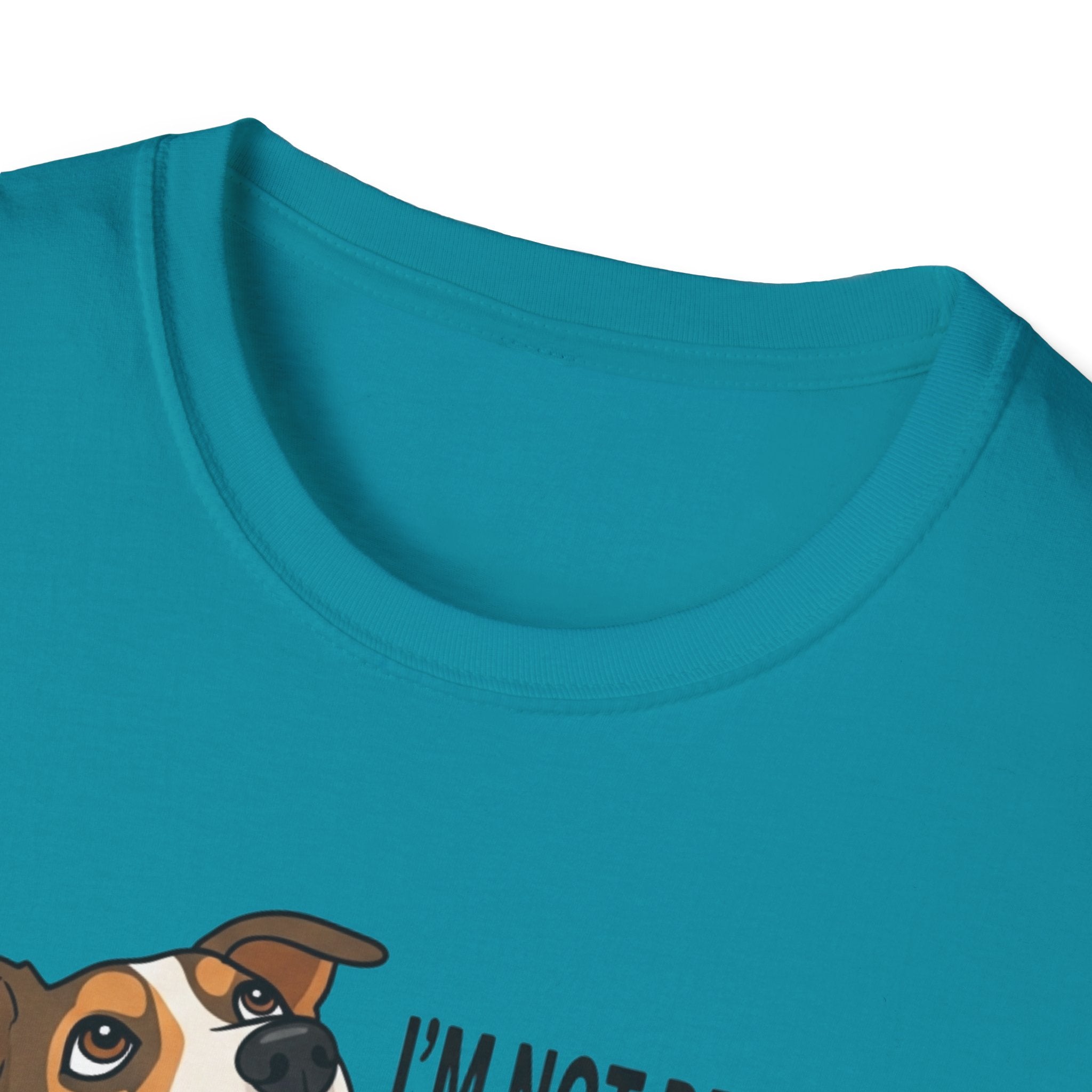 Snack Audition T-Shirt