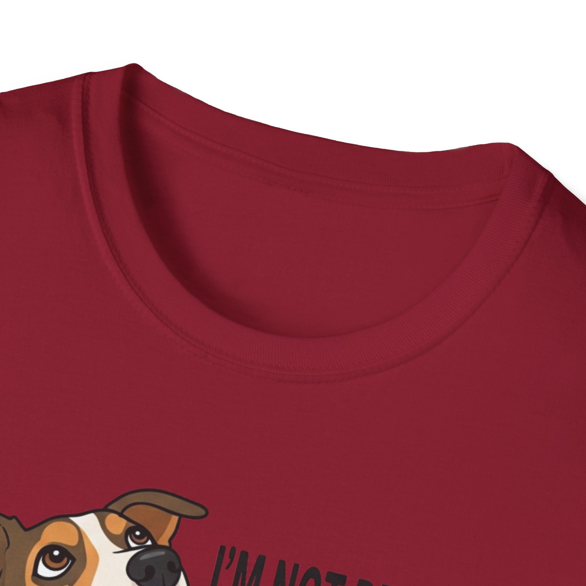 Snack Audition T-Shirt